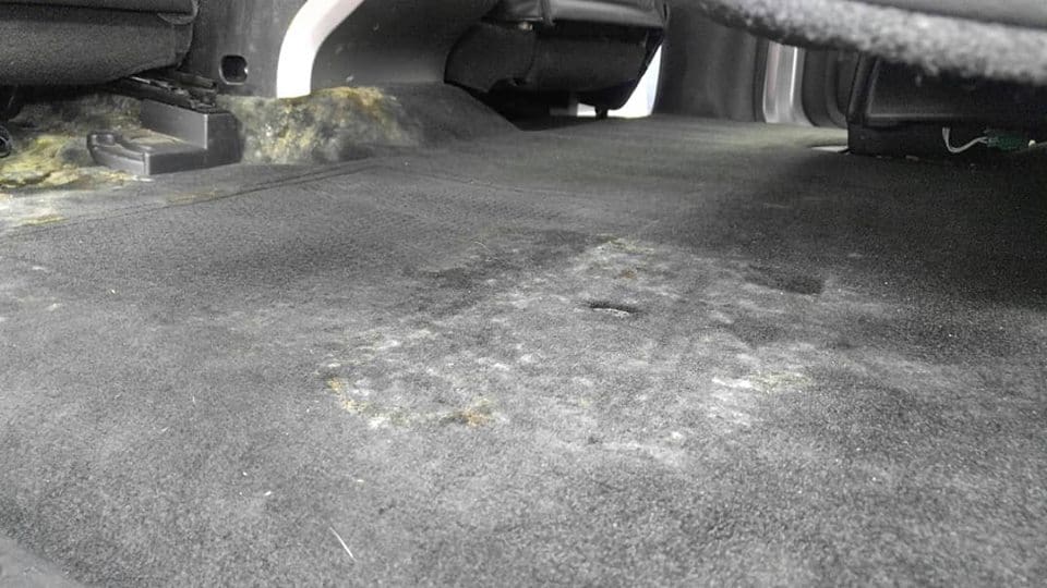 Thảm lót sàn ô tô sau thời gian sử dụng bị ẩm mốc, bốc mùi. 